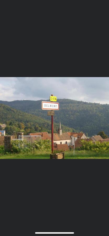 Gite De Montagne Au Pied Du Champ Du Feu Belmont  Exteriér fotografie