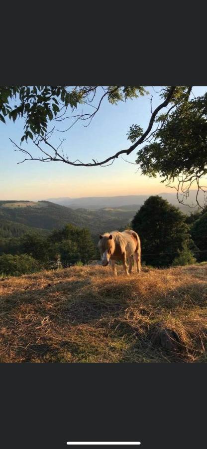 Gite De Montagne Au Pied Du Champ Du Feu Belmont  Exteriér fotografie