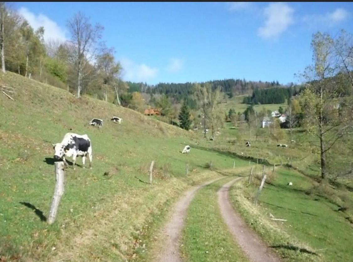 Gite De Montagne Au Pied Du Champ Du Feu Belmont  Exteriér fotografie